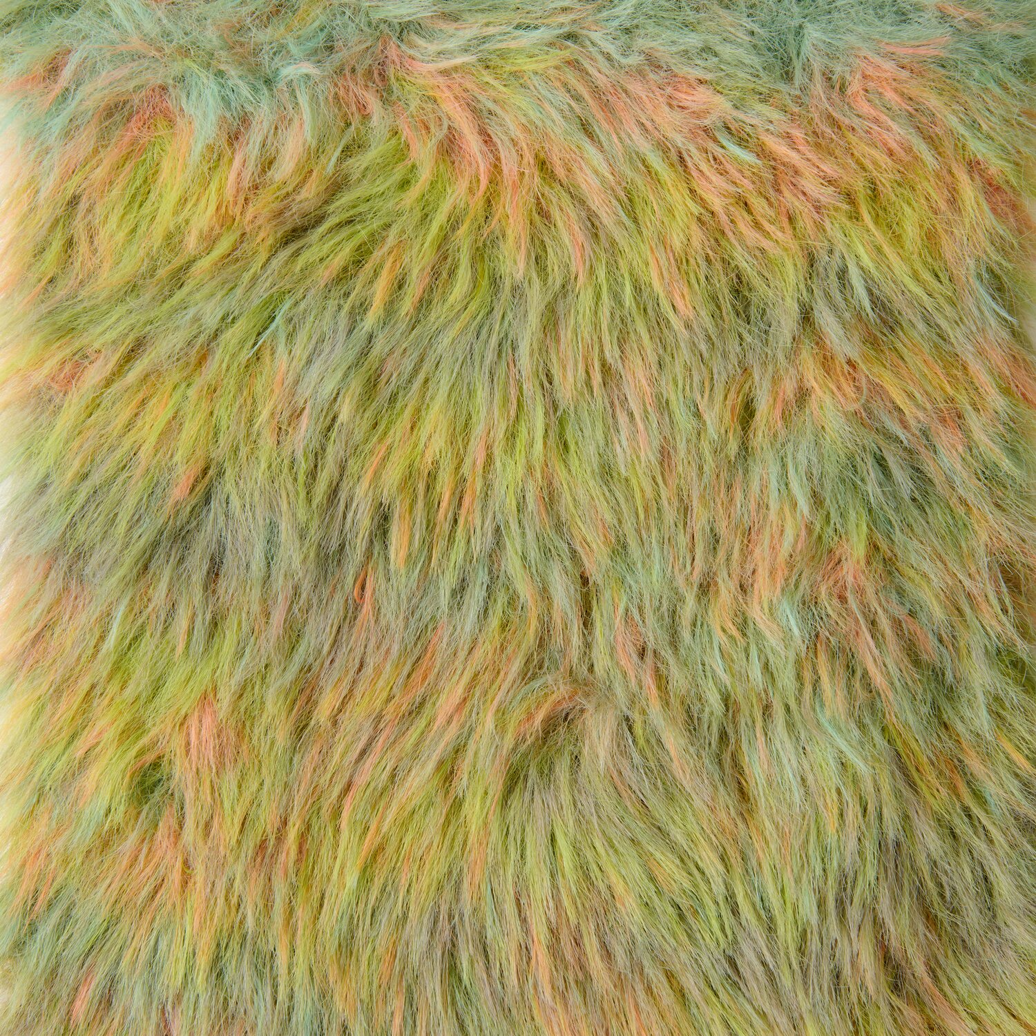 Fresh Colours