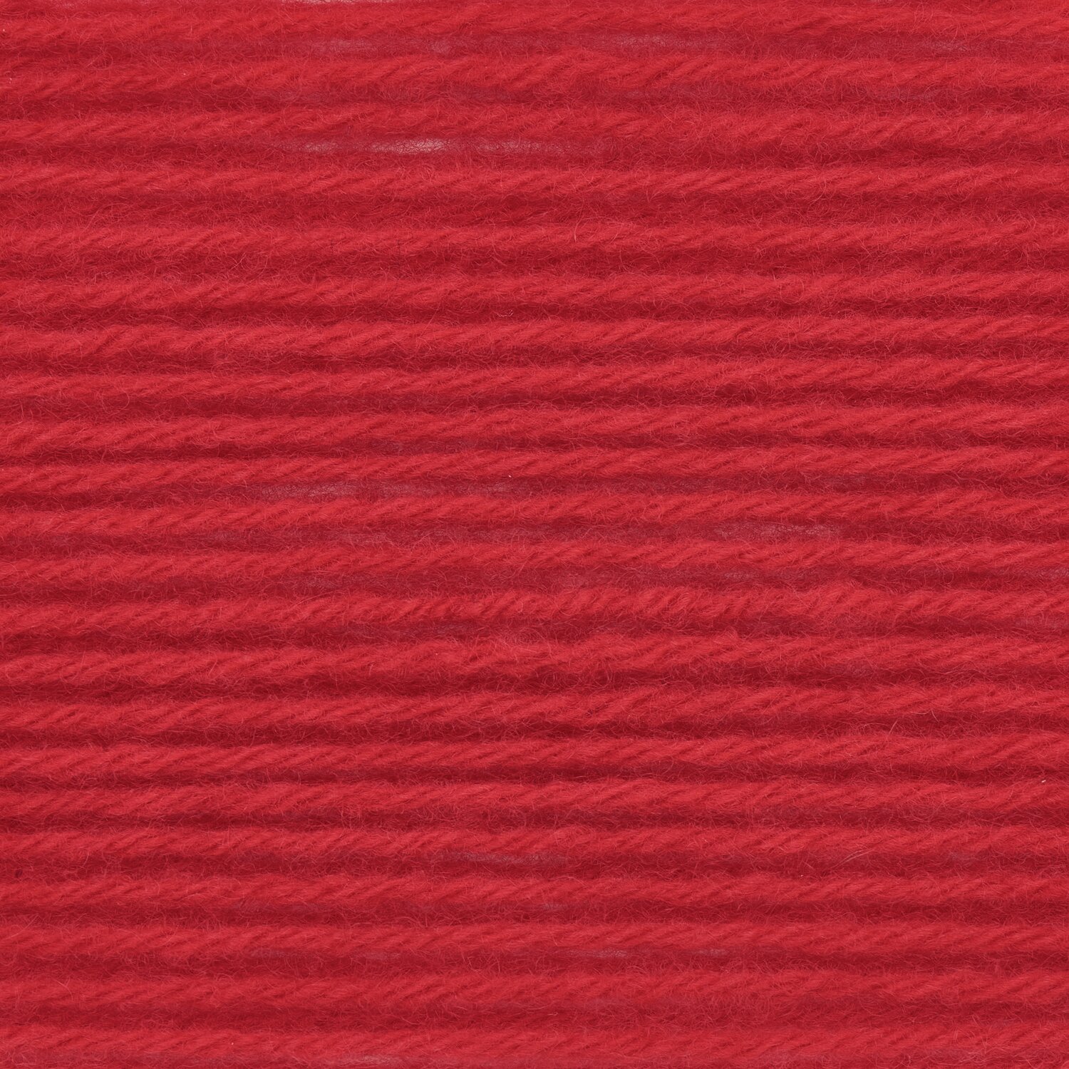 Rot