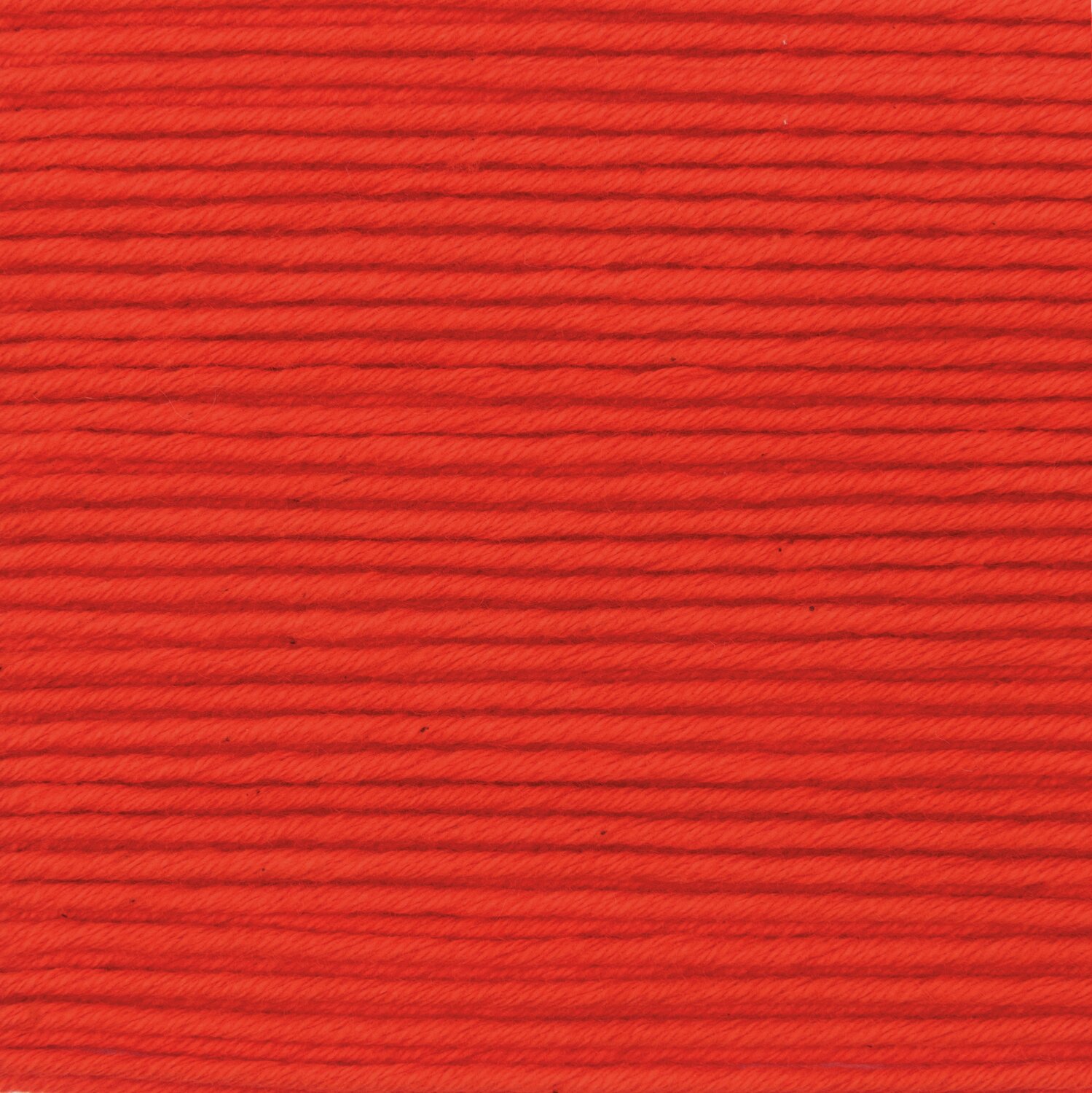 Rot