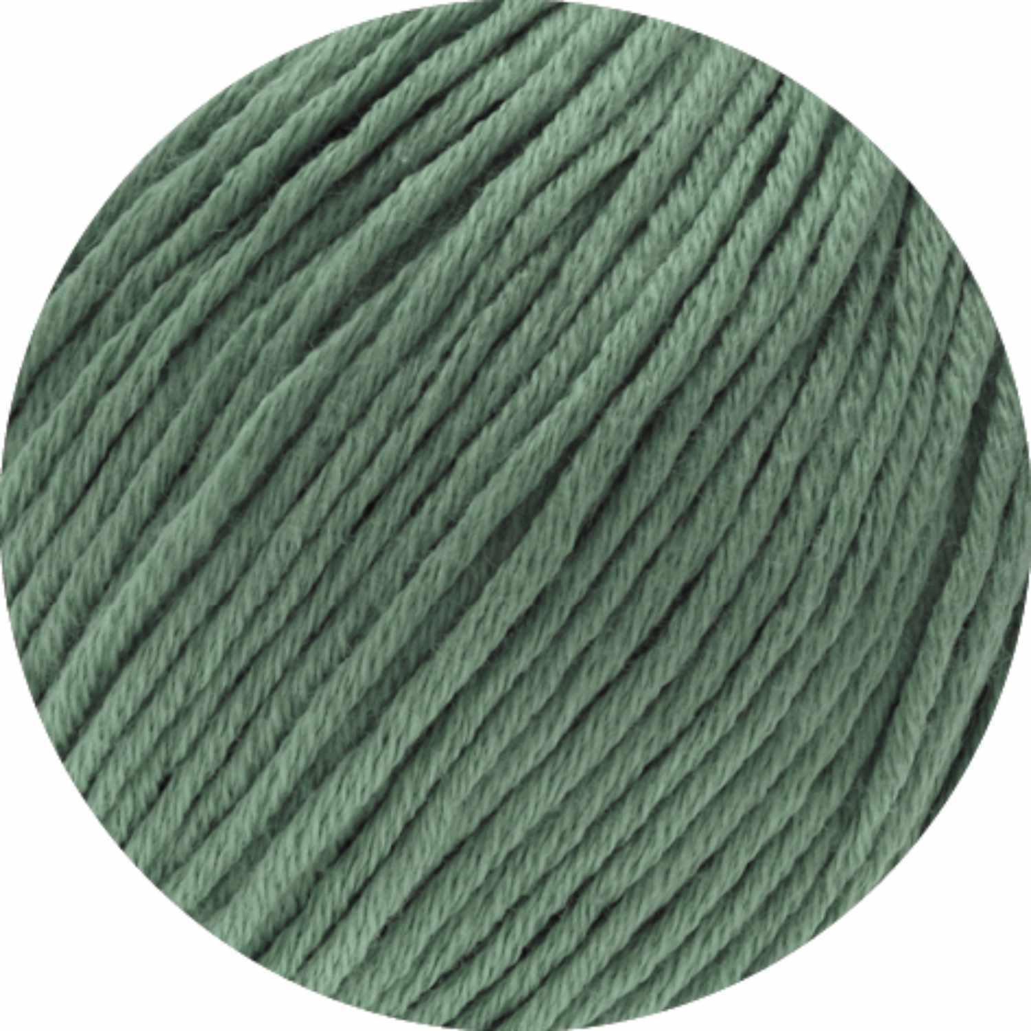 Linea Pura Organico 50g 90m Farbe Schilfgrün von LANA GROSSA Mode mit Wolle Handels- und Vertriebs 