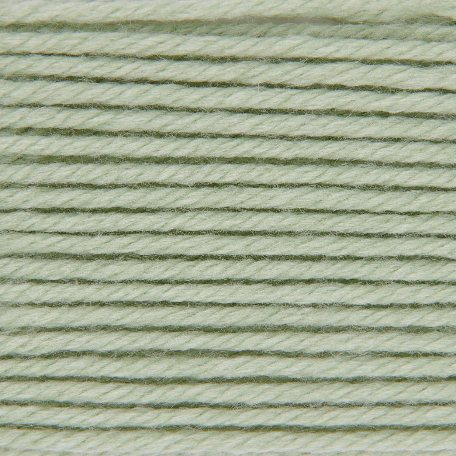 Salbei