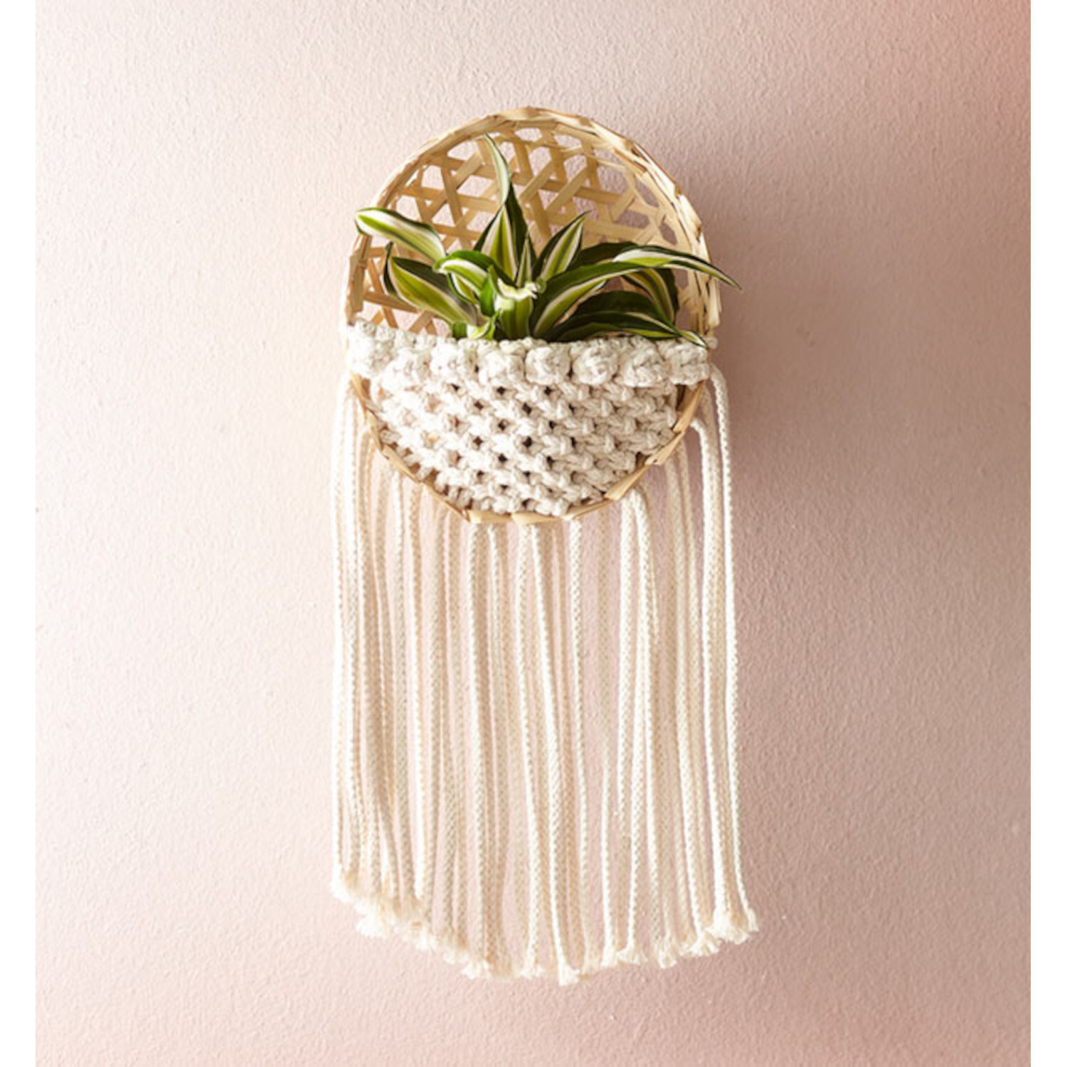 Makramee Blumenampeln: Weiße Makramee-Pflanzenhalterung mit grüner Pflanze an rosa Wand.