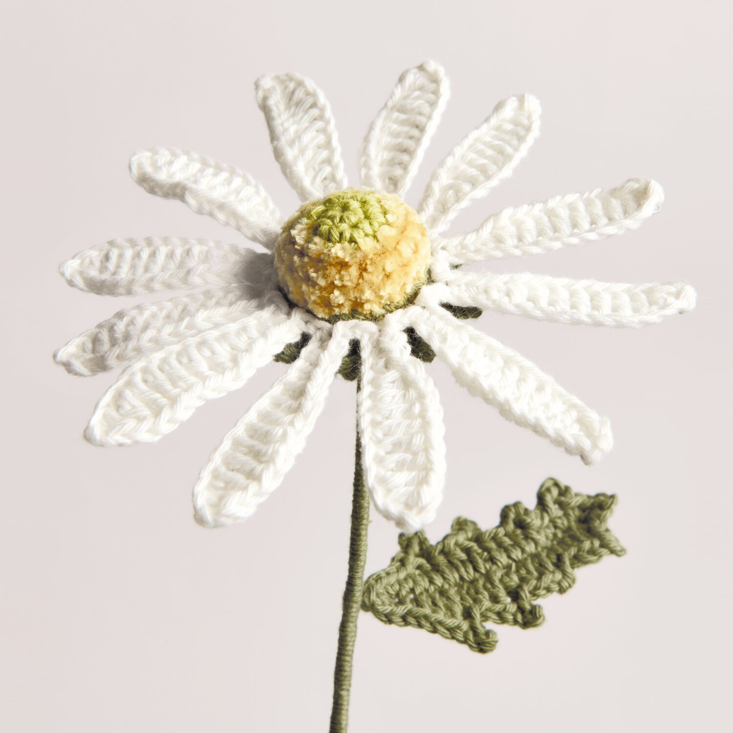 Ricorumi In the Meadow zeigt eine gehäkelte Margerite mit cremefarbenen Blütenblättern, gelbgrüner Blütenmitte und olivgrünem Stiel mit Blatt vor hellem Hintergrund.