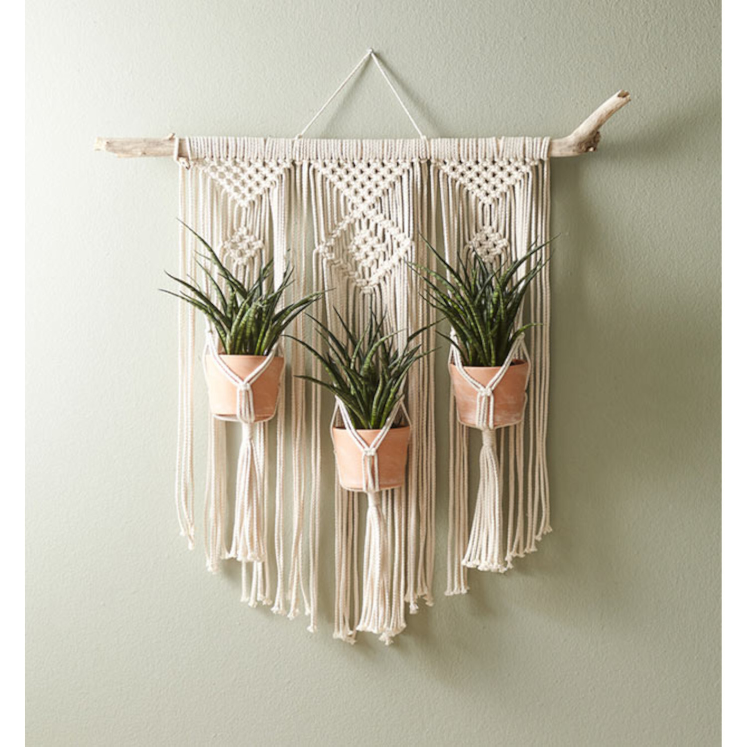 Makramee Blumenampeln: Drei beige Pflanzenhalter aus Makramee an einem Ast, dekorativ an der Wand.
