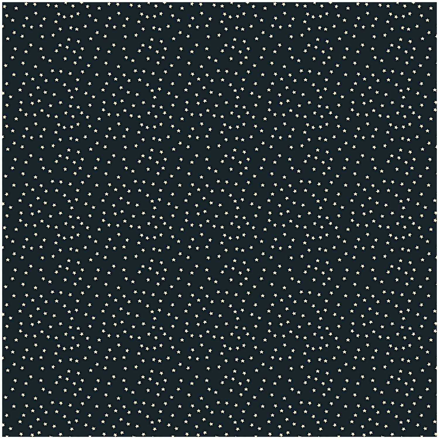 Stoff Sterne schwarz-natur 140cm Stoff Sterne schwarz-natur 140cm